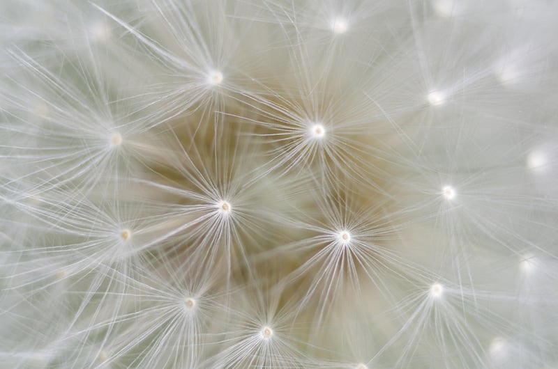 Kapalabhati Breathing Exercise